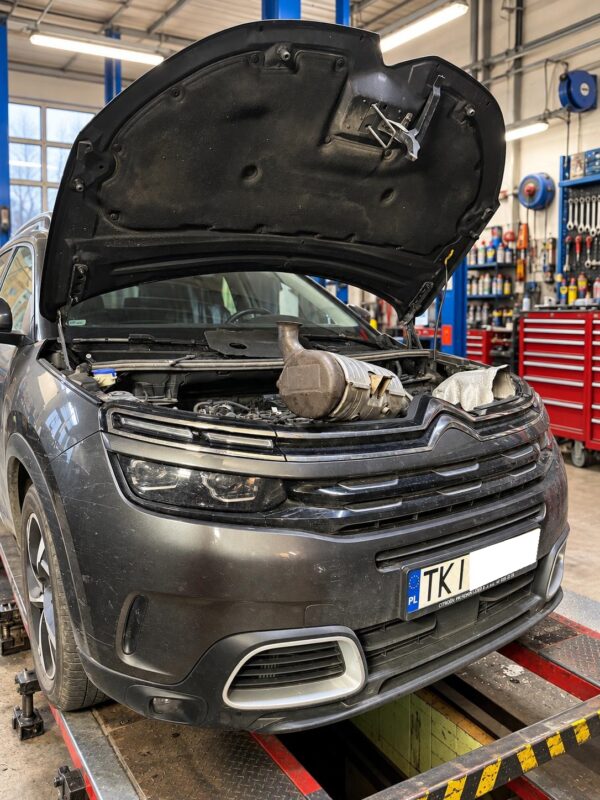dpf 1.5 bluhdi